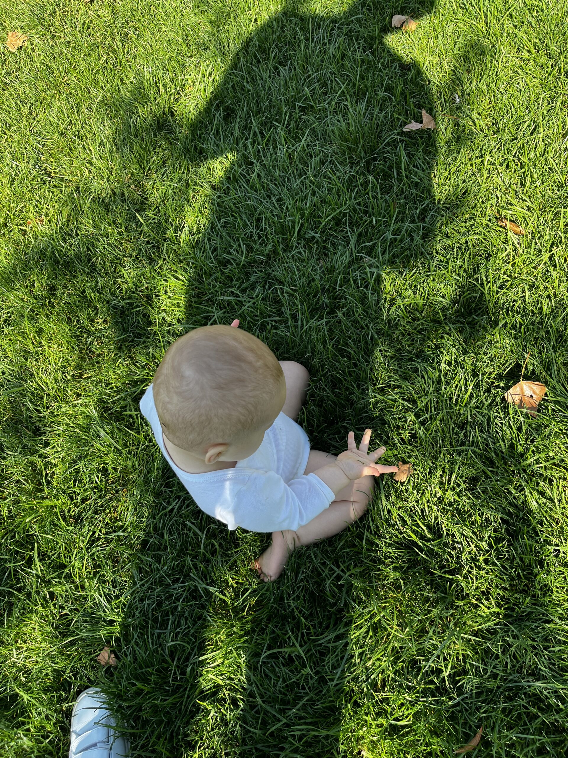 Patachou assise dans l’herbe sous l’ombre de sa maman