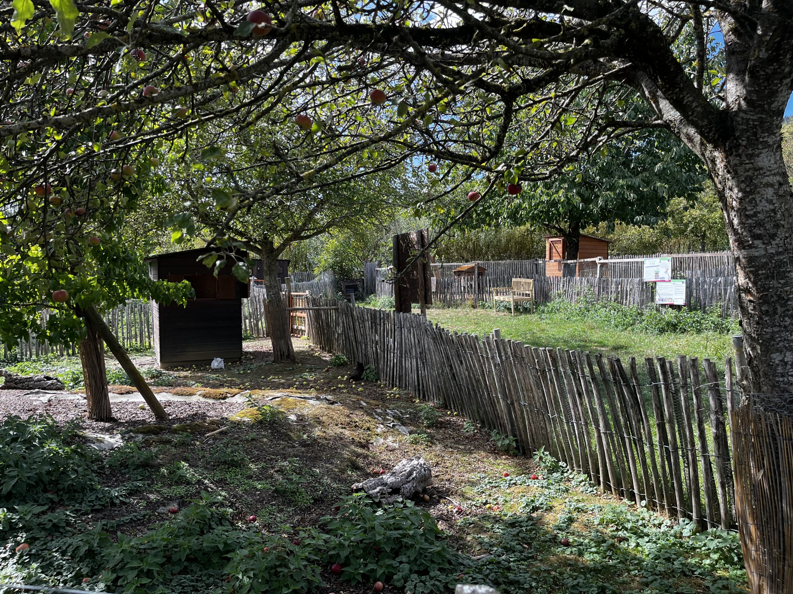 Les enclos des lapins à l’ombre des arbres