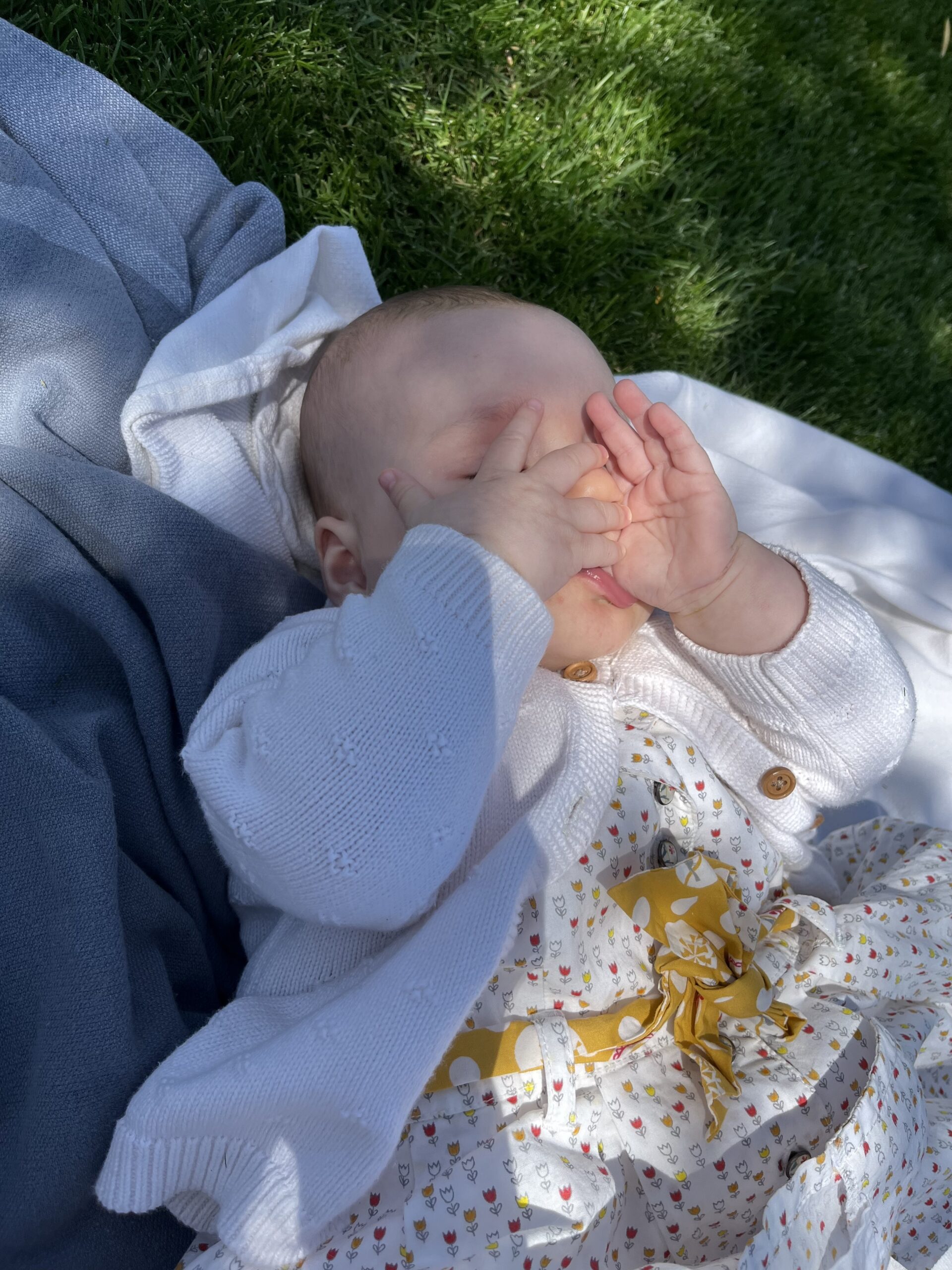 Patachou sur une couverture dans l’herbe, les mains devant le visage.
