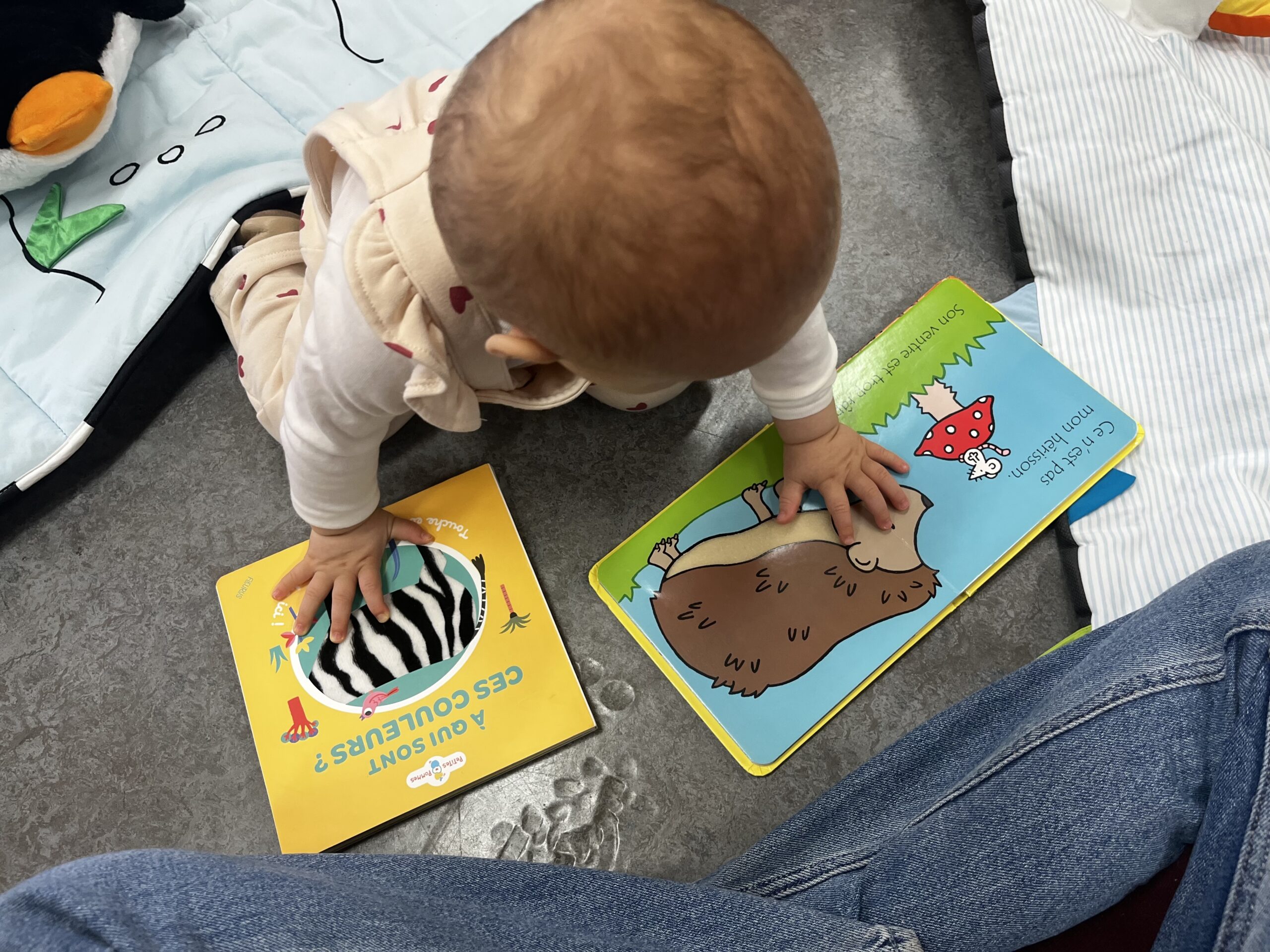 Patachou explore deux livres tactiles ouverts au sol