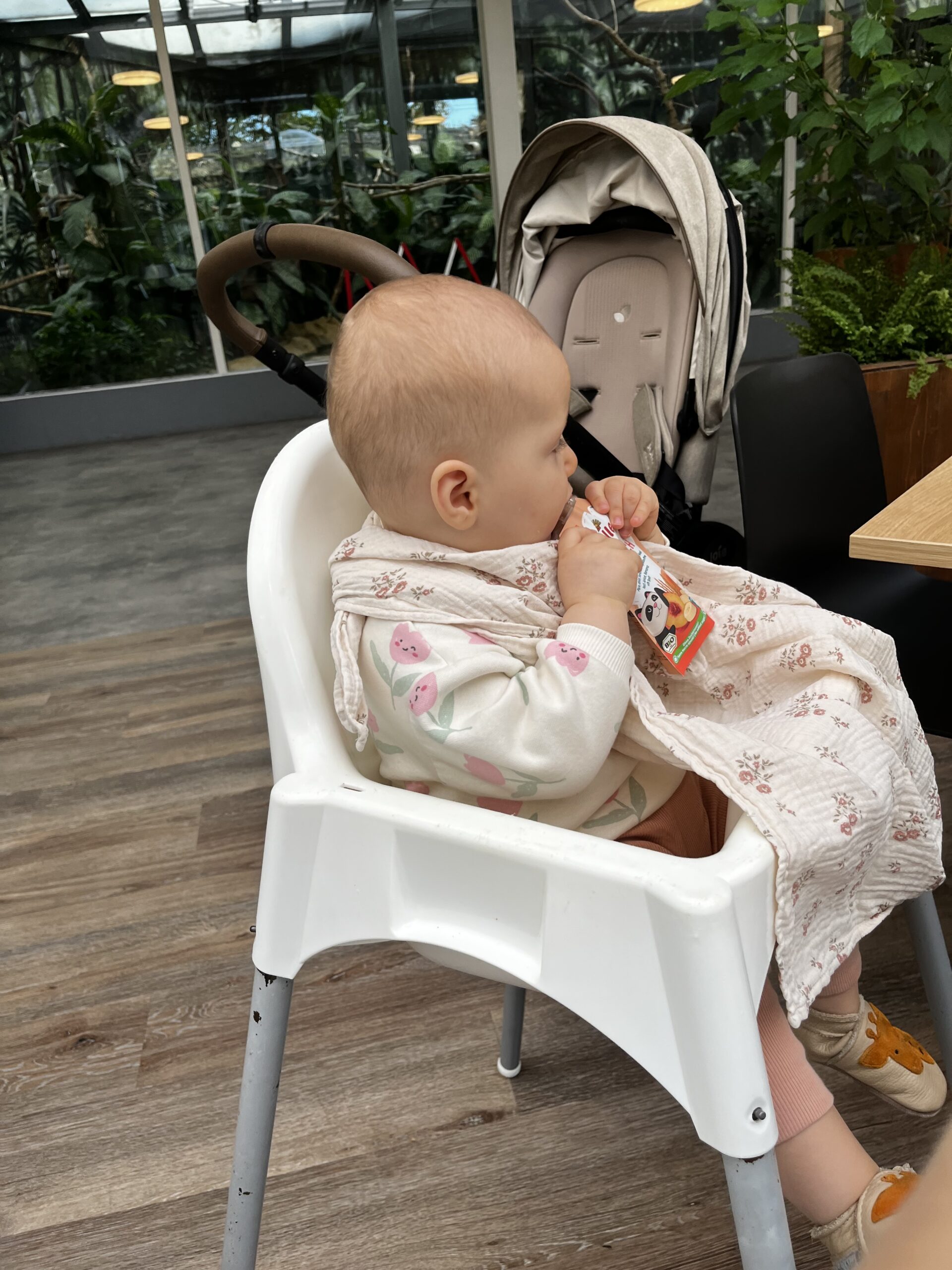 Patachou prend son goûter dans une chaise haute au self
