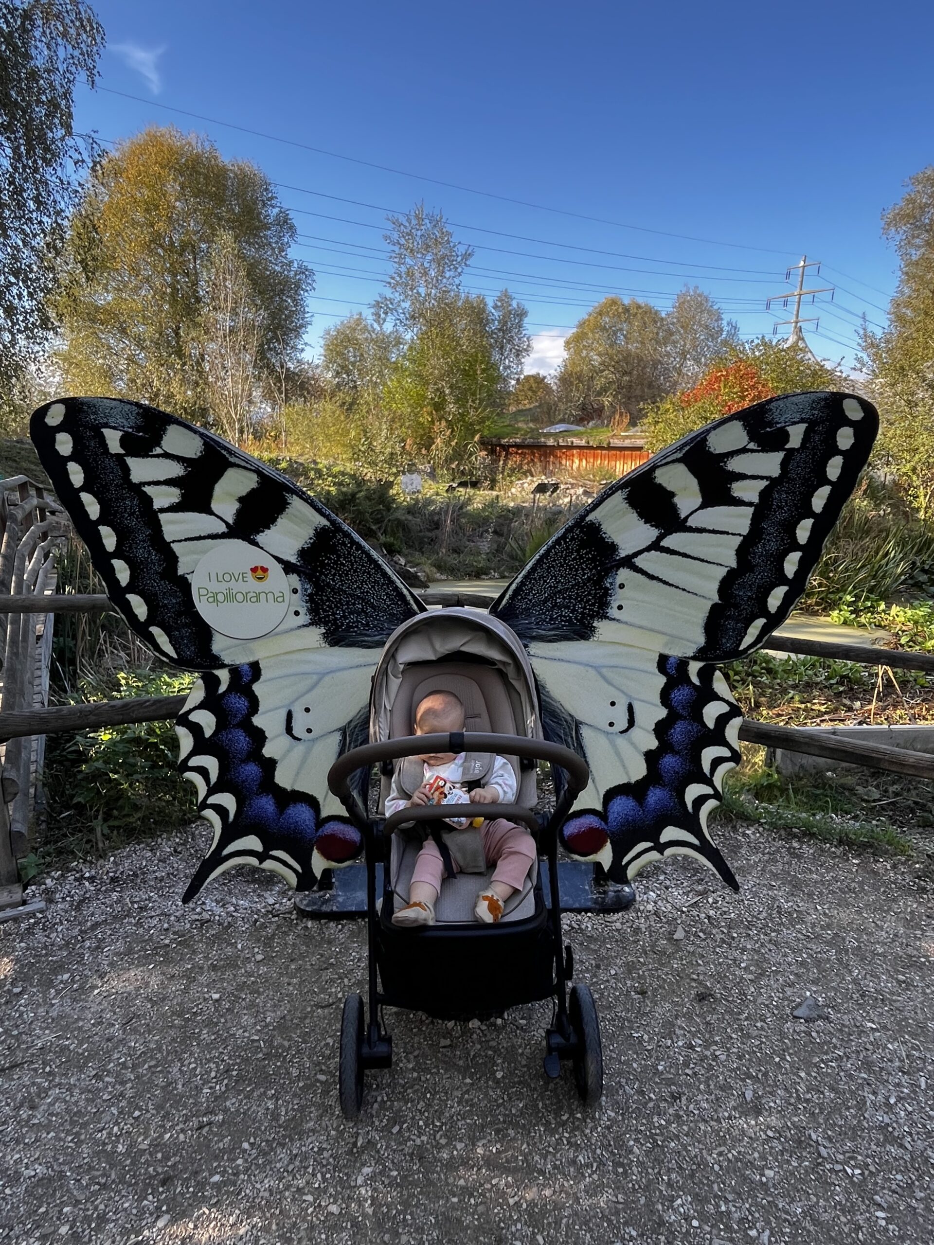 Patachou en poussette devant un décor en forme d’ailes de papillon